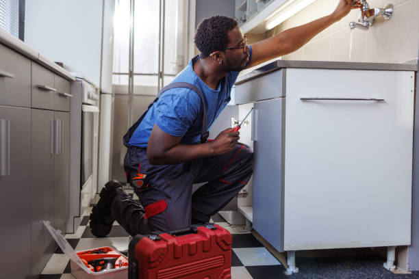 Best Plumbing Inspection Services  in Bonne Terre, MO